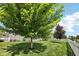 Spacious backyard featuring a well-manicured lawn, mature trees, and a charming white picket fence at 123 Bentree Blvd, Danville, IN 46122