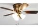 Close up on a ceiling fan and light at 14255 Holly Berry Cir, Fishers, IN 46038