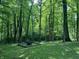 Tranquil backyard with firepit setting, surrounded by mature trees at 5530 Shawnee Trail South Dr, Indianapolis, IN 46220