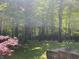 Large backyard surrounded by trees and a plush green lawn at 5530 Shawnee Trail South Dr, Indianapolis, IN 46220