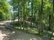 Private driveway leading to a brick home, surrounded by lush trees for ultimate privacy and seclusion at 5530 Shawnee Trail South Dr, Indianapolis, IN 46220