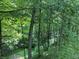 Lush trees showing privacy and a wooded, backyard setting for this property at 5530 Shawnee Trail South Dr, Indianapolis, IN 46220