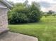 Backyard featuring a lush green lawn and chain link fence with mature trees at 5632 Spring Mist Cir, Indianapolis, IN 46237