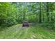 Lawn with a tractor in the middle, leading into a densely wooded area at 5824 Wesley Rdg, Martinsville, IN 46151