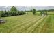 Large manicured backyard featuring a shed, swing set, mature trees, and a lush lawn at 6702 W Willow Grove Dr, New Palestine, IN 46163