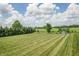 Lush green backyard featuring mature trees, a play set, and a storage shed at 6702 W Willow Grove Dr, New Palestine, IN 46163