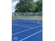 Full tennis court featuring a new net and surface with surrounding green landscaping at 9205 Selkirk Ct, Indianapolis, IN 46260