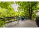 A back deck features a table, chairs, and a view of the backyard surrounded by lush greenery at 10380 Sand Creek Blvd, Fishers, IN 46037