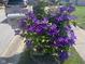 Beautiful landscaping with flowering bushes surrounding a mailbox, enhancing the property's curb appeal at 1165 Tewksbury Ct, Mooresville, IN 46158