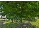 A large green tree shading a backyard with a lawn, deck, and fence at 12848 Patrick Ct, Fishers, IN 46038