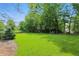 Expansive backyard featuring a lush green lawn, mature trees, and wooden fence under a bright, sunny sky at 18112 Kinder Oak Dr, Noblesville, IN 46062