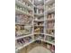 Walk-in pantry with well-organized shelving offering ample storage for food and household items at 6525 Carolina Blvd, Indianapolis, IN 46217