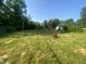 Large backyard and grass area on a sunny day at 667 E Edgewood Ave, Indianapolis, IN 46227