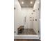 A modern shower features pebble flooring, a glass enclosure, and dual shower heads at 10974 Harbor Bay Dr, Fishers, IN 46040