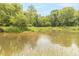 Tranquil view of the creek flowing through the backyard, surrounded by lush greenery and trees at 1497 N 200 W, Greenfield, IN 46140