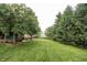 Expansive backyard featuring a spacious lawn and mature trees at 47 Torrey Pine Dr, Brownsburg, IN 46112