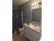 Standard bathroom with a toilet, sink, and shower with decorative shower curtain at 10523 Dark Star Dr, Indianapolis, IN 46234