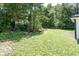 Expansive backyard showcasing lush green grass and mature trees offering ample privacy at 12003 Broadway St, Indianapolis, IN 46236