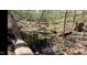 A peaceful view of the heavily wooded backyard at 2246 E Yellowwood Ln, Martinsville, IN 46151