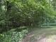 Tranquil backyard setting with dense trees and a walking path through lush greenery at 3042 S Conservation Club Rd, Morgantown, IN 46160