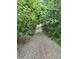 Driveway surrounded by lush greenery provides a serene and private entrance to the residence at 5055 Turkey Track Rd, Martinsville, IN 46151