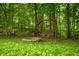 A swing and firepit area nestled in the backyard woods at 5055 Turkey Track Rd, Martinsville, IN 46151