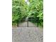 View of a secluded gravel driveway with a black gate, and surrounded by lush greenery, creating a sense of privacy at 5055 Turkey Track Rd, Martinsville, IN 46151