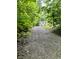 Long winding private driveway surrounded by green foliage leads to a charming house at 5055 Turkey Track Rd, Martinsville, IN 46151