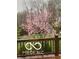 Backyard view of a blooming pink tree, with a wooden fence at 8144 Grassy Meadow Cir, Indianapolis, IN 46259