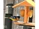 A yellow and black Baltimore oriole sits on a wooden bird feeder with orange halves at 8144 Grassy Meadow Cir, Indianapolis, IN 46259