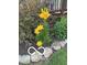 A beautiful yellow lily bush blooms in a landscaped area, providing beautiful color at 8144 Grassy Meadow Cir, Indianapolis, IN 46259