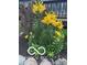 Beautiful flower garden with yellow lilies, adding a touch of natural elegance to the landscape at 8144 Grassy Meadow Cir, Indianapolis, IN 46259