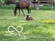 A beautiful brown foal rests in a pasture with a mature horse and yellow wildflowers at 8144 Grassy Meadow Cir, Indianapolis, IN 46259