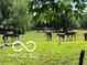 Spacious pasture with grazing horses, adding a touch of rustic charm to the property at 8144 Grassy Meadow Cir, Indianapolis, IN 46259