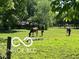 Scenic pasture with horses grazing peacefully, providing a tranquil and picturesque setting at 8144 Grassy Meadow Cir, Indianapolis, IN 46259