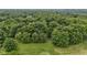 An expansive forest view from above, revealing lush greenery as far as the eye can see at 10808 Greenbriar Dr, Fishers, IN 46037