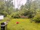 Large, grassy backyard showcasing a storage shed, mature trees, and outdoor space at 2954 N Drexel Ave, Indianapolis, IN 46218