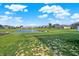 A tranquil pond sits in the neighborhood, surrounded by well-maintained lawns and numerous houses at 851 Sonoma Ln, Greenfield, IN 46140