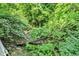 Backyard view of a creek surrounded by lush greenery and mature trees offering a secluded nature scene at 1000 Leisure Ln, Greenwood, IN 46142