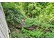 Backyard view of a creek surrounded by lush greenery and mature trees offering a secluded nature scene at 1000 Leisure Ln, Greenwood, IN 46142
