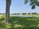 Scenic community pond view featuring a fountain, lush green grass, and a tree at 15178 Silver Charm Dr, Noblesville, IN 46060