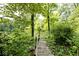 Rustic wooden path leading to a peaceful lake dock, embraced by lush greenery at 3545 Whippoorwill Lake N Dr, Monrovia, IN 46157