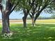 Landscaped front yard featuring mature trees and open fields beyond at 535 S 450 E, Franklin, IN 46131