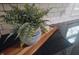 Close-up of kitchen countertop decor featuring small fern on a wooden tray at 5636 Crittenden Ave, Indianapolis, IN 46220