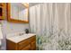 Bathroom with wood vanity, a decorative mirror, and a nature-themed shower curtain at 5923 W 29Th Pl, Indianapolis, IN 46224
