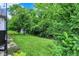 Lush backyard with mature trees, perfect for outdoor enjoyment and relaxation at 11518 Cherry Blossom W Dr, Fishers, IN 46038
