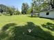 Over 1/3 acre flat backyard with large mature trees at 1206 Lincoln St, Shelbyville, IN 46176