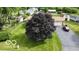 A home's front yard with a mature tree, driveway, and tidy lawn at , Shelbyville, IN 46176