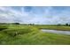 Serene golf course view featuring a tranquil pond and lush, rolling green hills under a cloudy sky at 4230 Raintree Blvd, Greenwood, IN 46143