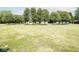 Beautiful, expansive back yard with mature trees, offering plenty of space for outdoor activities at 5707 In-234, McCordsville, IN 46055